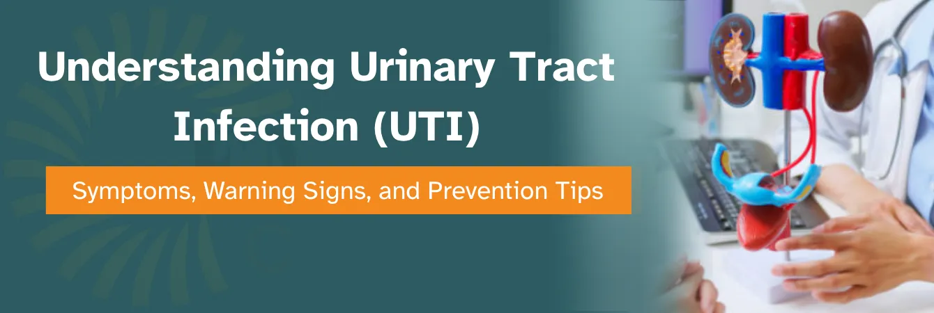 Urinary Tract Infection (UTI): Symptoms, Warning Signs, and Prevention Tips