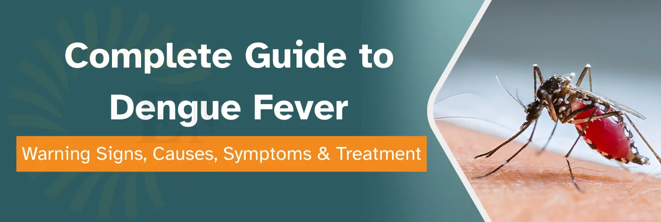 Dengue Fever Causes, Symptoms & Treatment