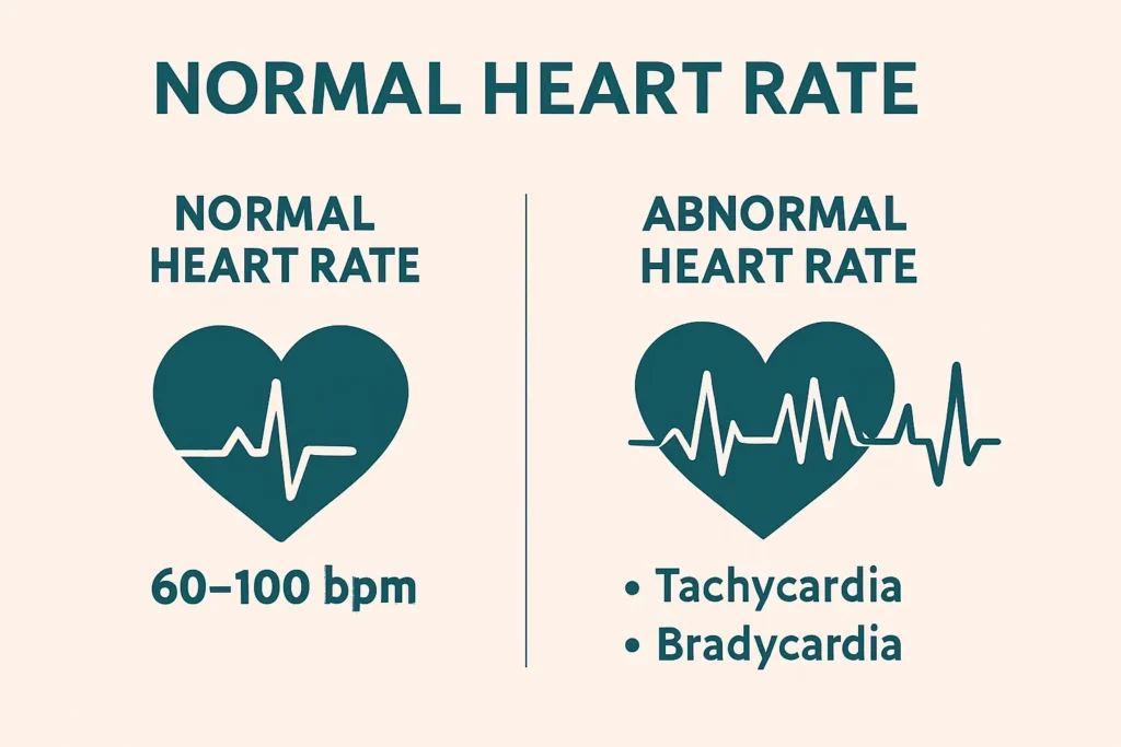 normal heart rate vs abnormal heart rate